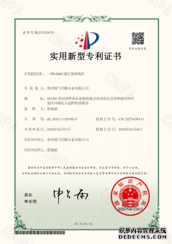 实用新型专利证书12